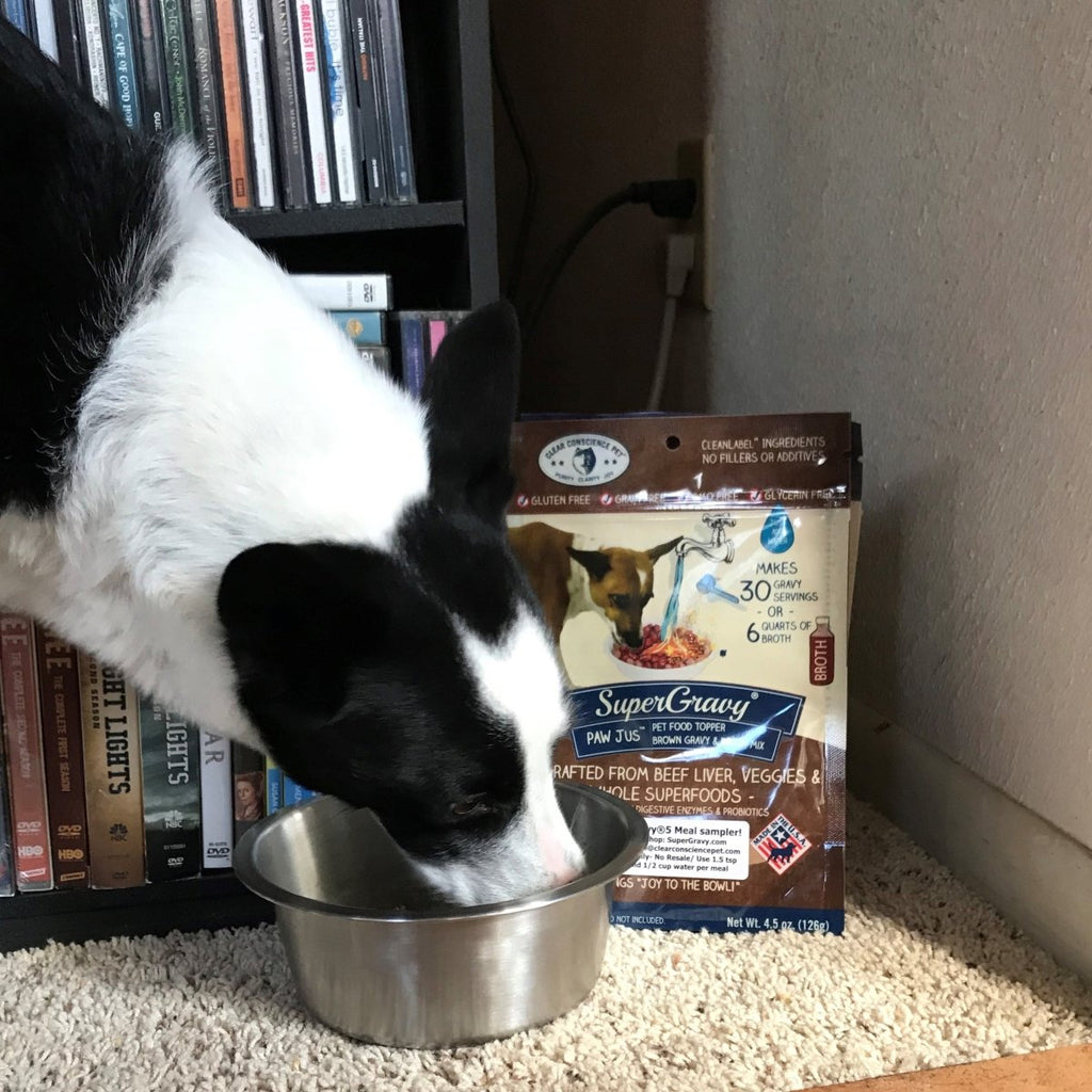 Cleaning Up Her Bowl Without Hesitation! - Clear Conscience Pet