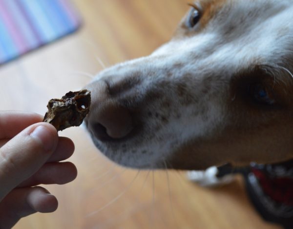 I am loving these lamb lung treats - Clear Conscience Pet