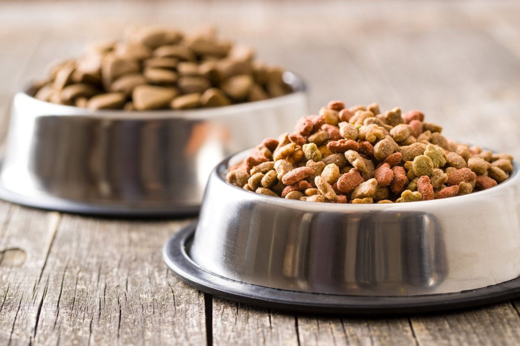 What’s the Scoop on Pet Food Topper Supplements? - Clear Conscience Pet
